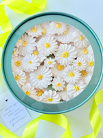 Коробочка «Ромашки» 21 см