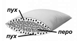 Подушка 3-камерная 50x70 Dorbena Oeko схема