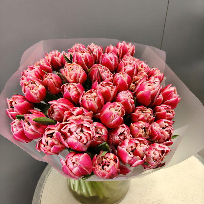 Букет пионовидных тюльпанов Колумбус 51шт (в упаковку)