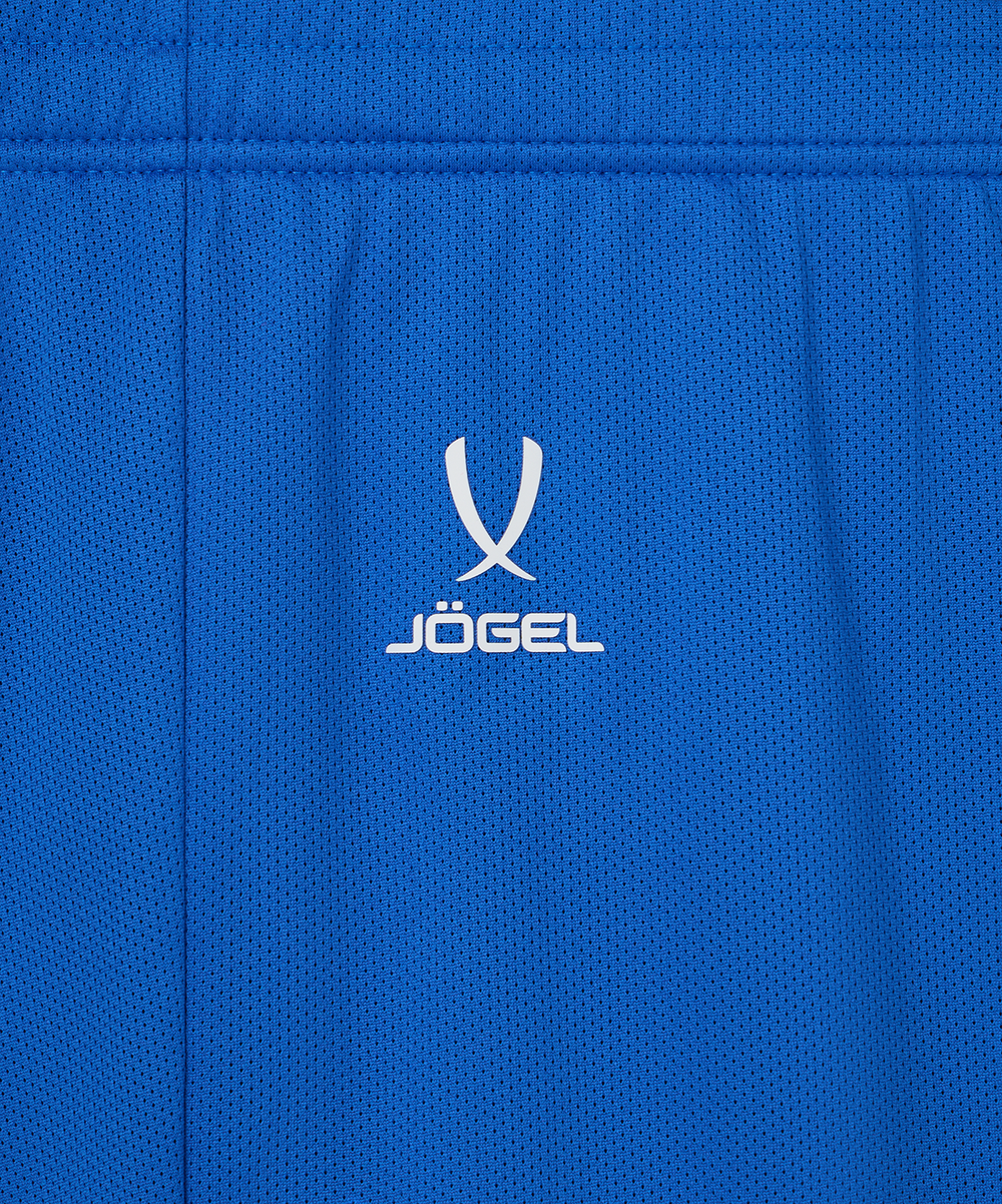 Шорты баскетбольные DIVISION PerFormDRY RBF 2S Shorts, синий