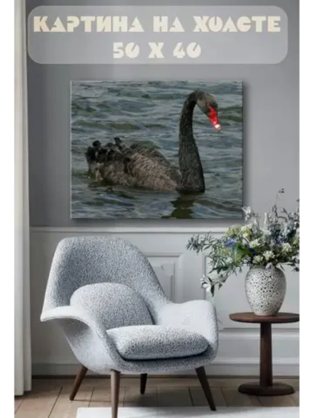 Картина на стену 40 X 50 Черный лебедь