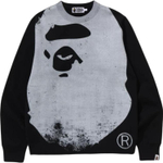 A Bathing Ape Bathing Ape Faded Printed Sweater
