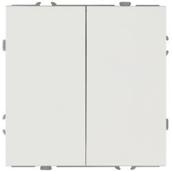 Переключатель ЭРА Galaxy 15-1106-01 двойной 10АХ-250В IP20 белый