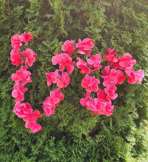 Гирлянда из цветов крупных, темно-розовая