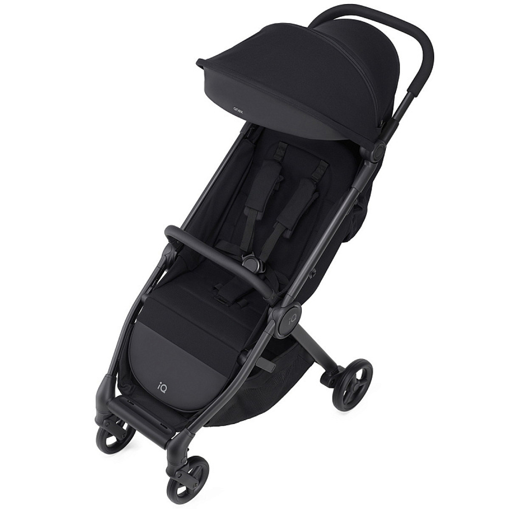 Детская коляска Anex iQ Basic NT 2 в 1 Nyx