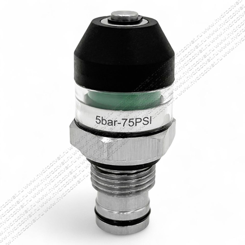 VD5B - Индикатор загрязнения визуальный (CM-I-G1/2-4.5BAR) VD5B - Индикатор загрязнения визуальный (CM-I-G1/2-4.5BAR)