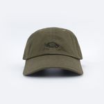 Кепка Anteater 6Panel (olive)