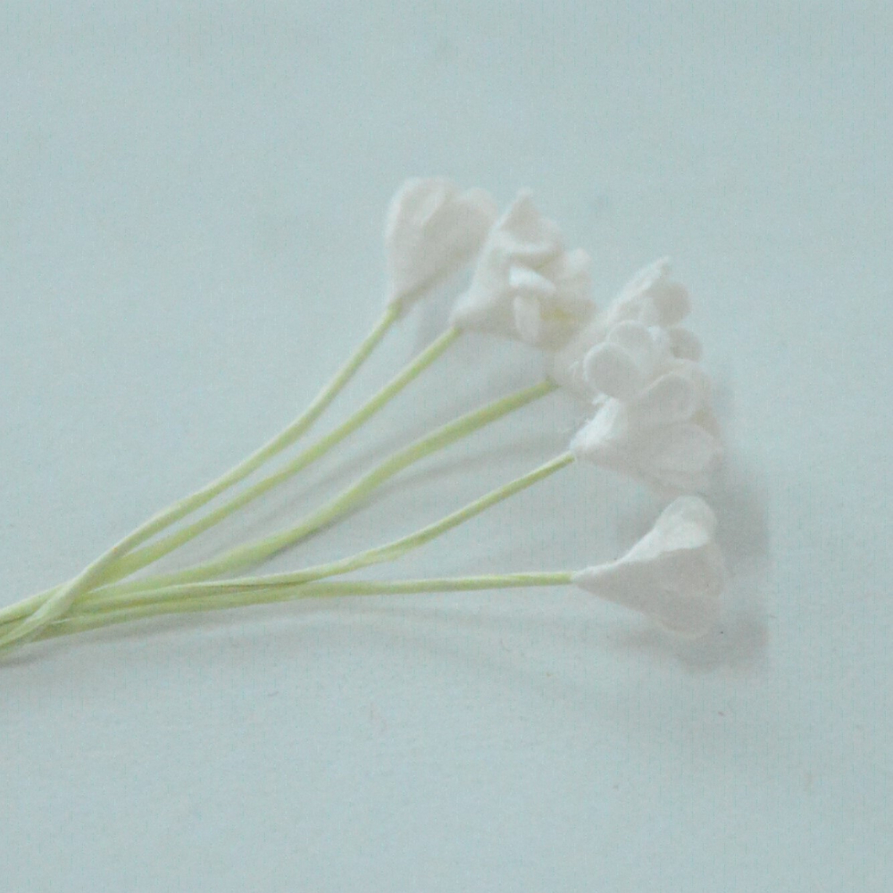 Гипсофила 1см