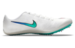 Кроссовки Nike Zoom 400