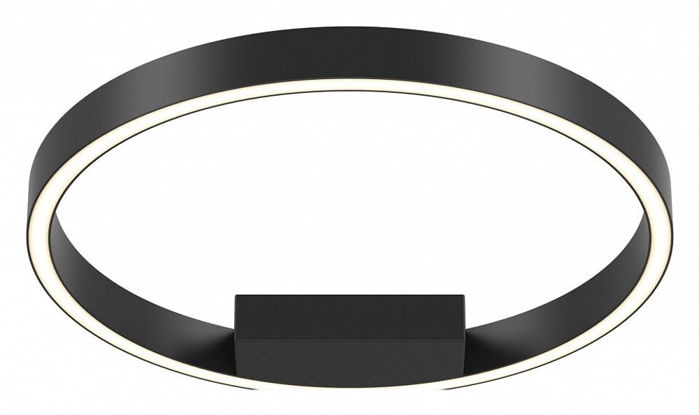 Накладной светильник Maytoni Rim MOD058CL-L25BK