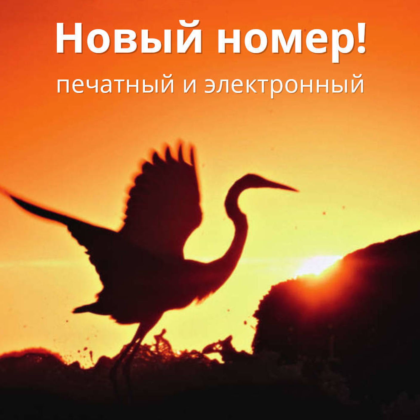 Журнал «Фома» № 3 (239) март 2023 г.