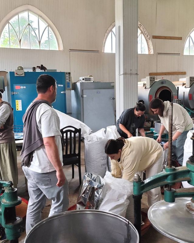 Друзья, приветствуем вас из Озургети