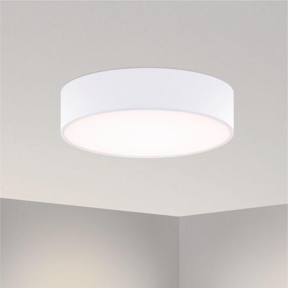 Потолочный светодиодный светильник Arlight SP-Tor-Pill-R400-25W Day4000 022104(2)