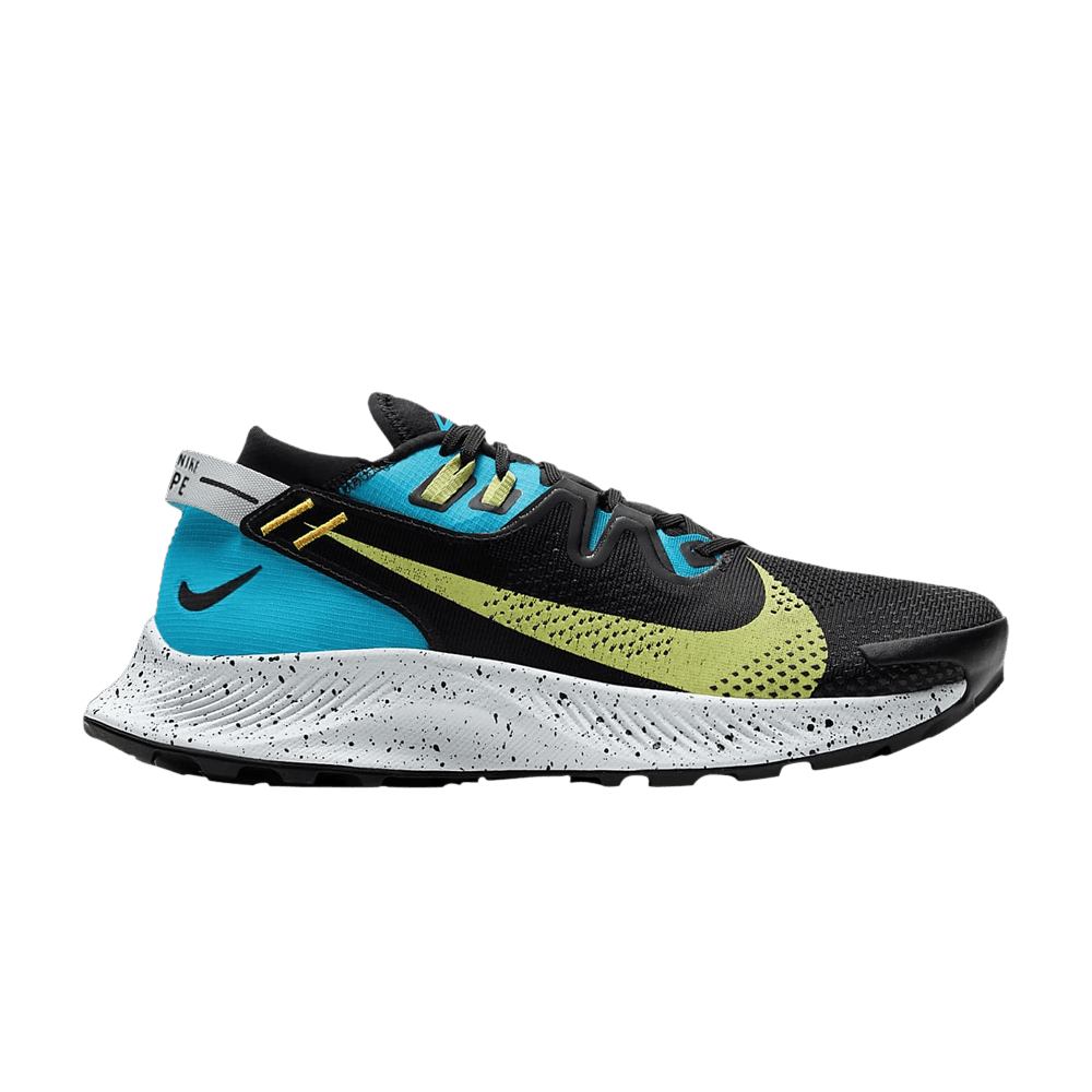 Кроссовки Nike Pegasus Trail 2 (Женская размерная сетка)