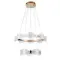 Подвесная люстра Arte Lamp GRACE A1868SP-2PB