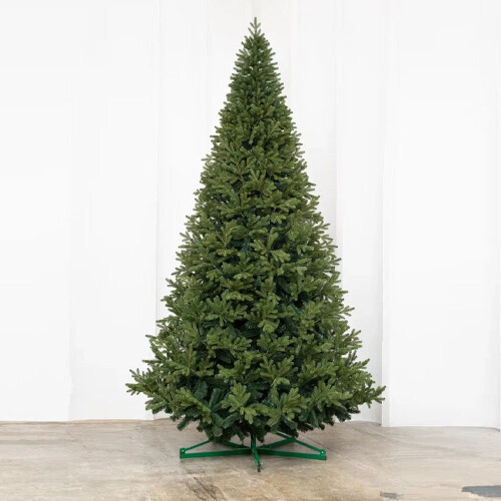 ствольная высокая ель