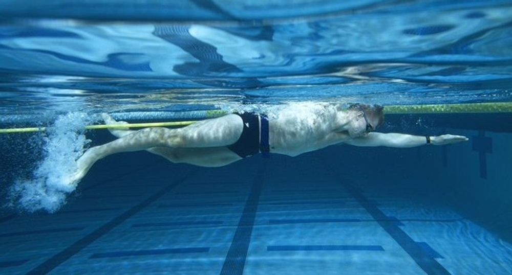 THE WATER SNAKE SWIM BELT