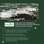 ProPhyto Остеоплюс, 70 таблеток