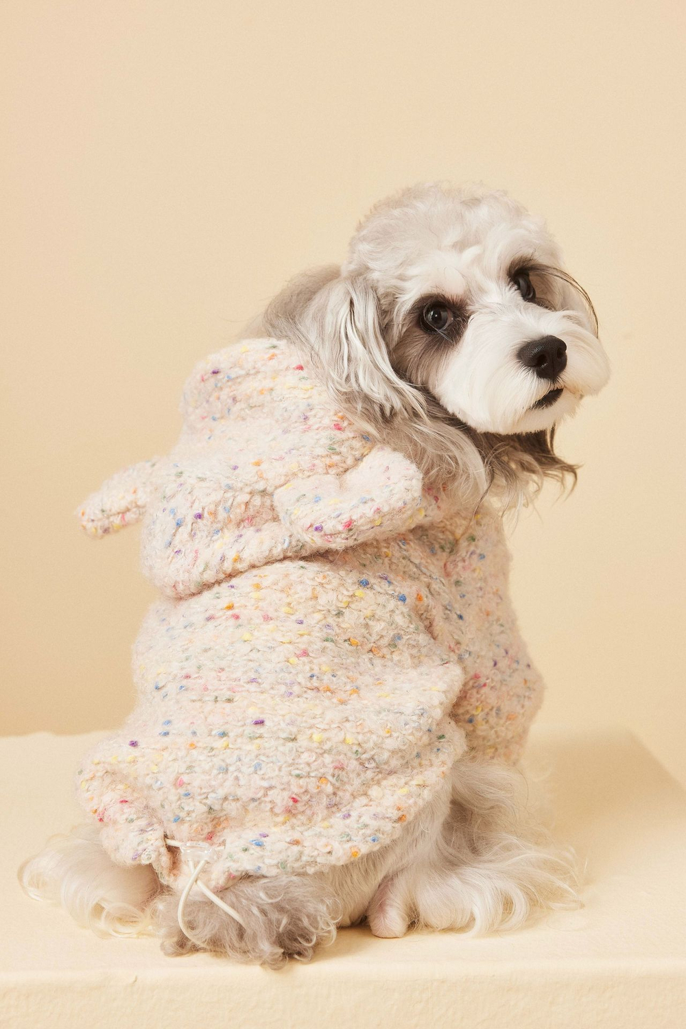 Куртка для собак Цветные помпоны