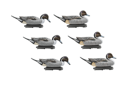 Шилохвость селезень "FA LIVE PINTAIL FLOATERS" (6 селезней)