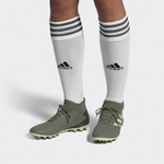 Кроссовки Adidas Predator 19.3 Ag