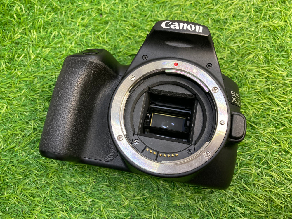 Canon 250D + 18-55mm 4-5.6 IS STM (4000 кадров)