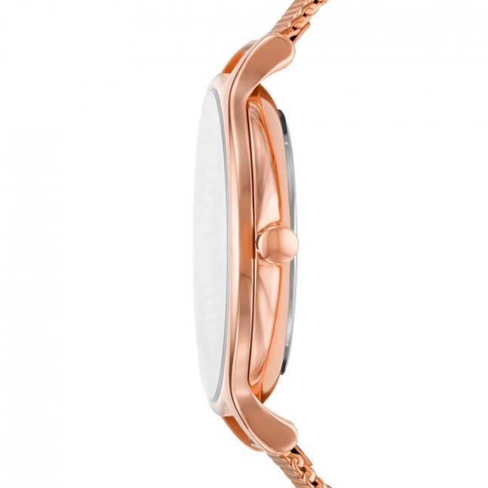 Женские наручные часы Skagen SKW2977