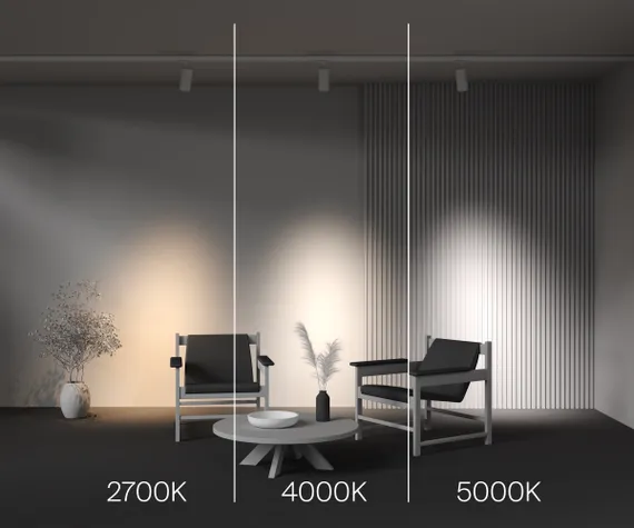 Трековый светильник Фокус / Focus Led Trinity 2700-5000K 30Вт 36° Technical tr197-3-30wcct-m-w