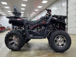 Квадроцикл PROMAX RENEGADE 300 LONG WINCH PRO (2025)