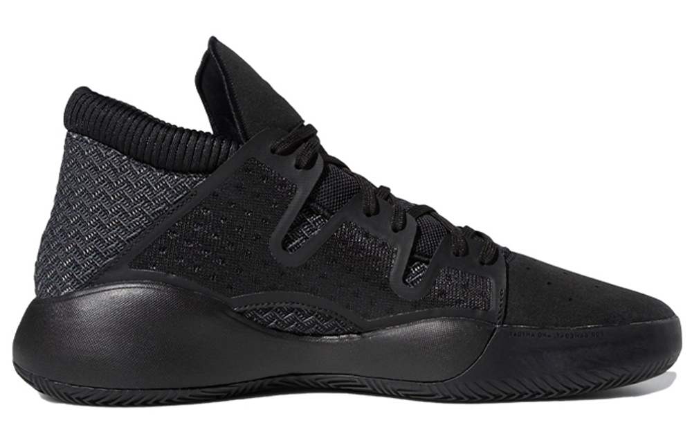 Кроссовки Adidas Pro Vision Putpu
