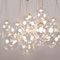 Подвесная светодиодная люстра Loft IT Pop it 10270/D15