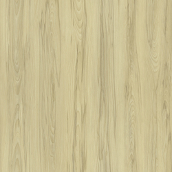 Панель МДФ коллекция Classic (Классик), Стандарт, Клен Кап, 2700х200х6 мм
