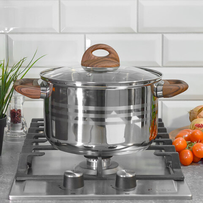 Кастрюля 5л нерж "Foresta"