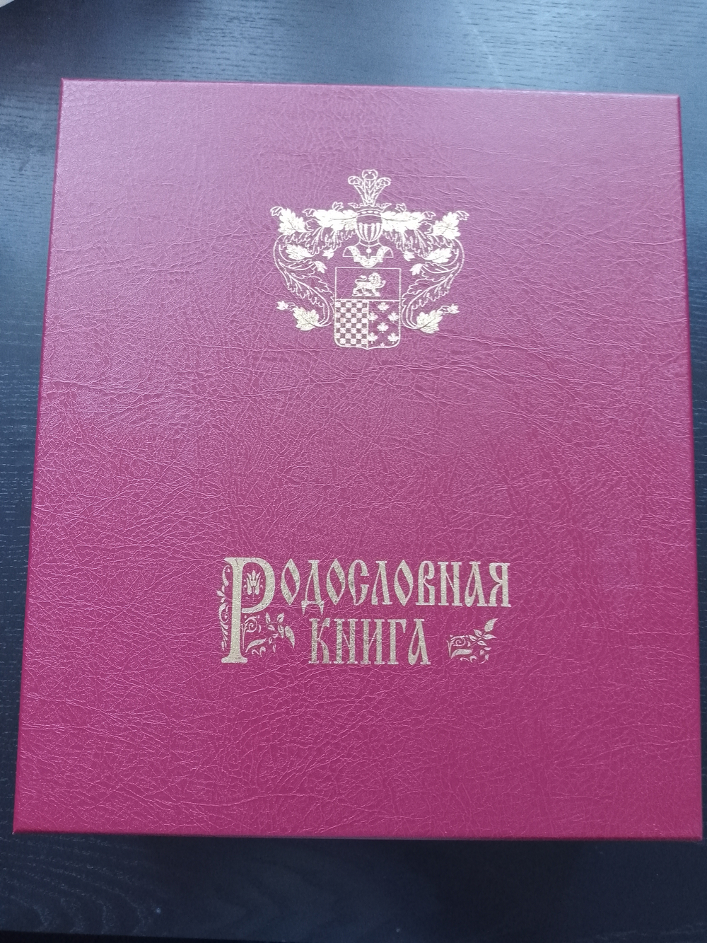 Большая семейная родословная книга "Столетие", натуральная кожа