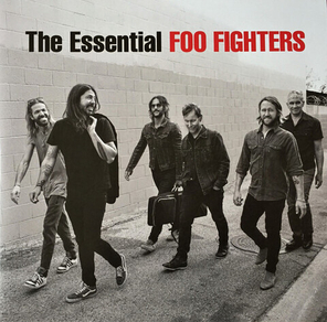 Foo Fighters / The Essential (2LP)