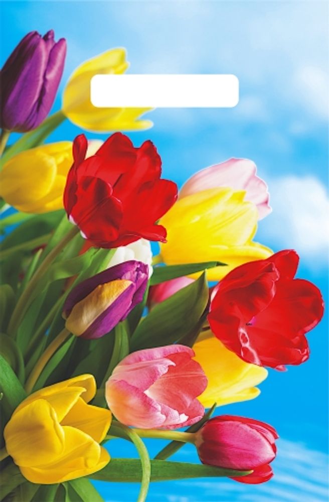 Пакеты с вырубной ручкой "Монро" 20х30см, 30мкм (100/3000шт)