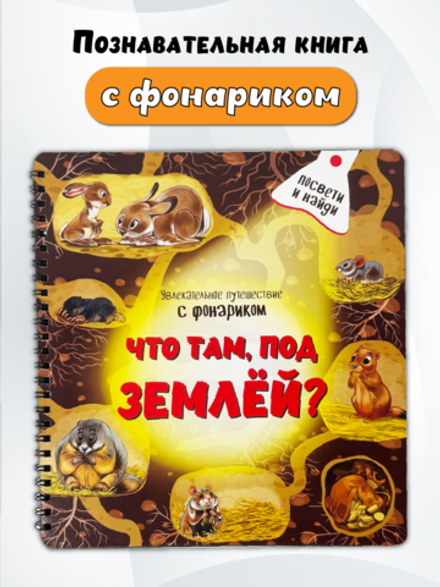 Книжка с фонариком "Что там, под Землёй?"