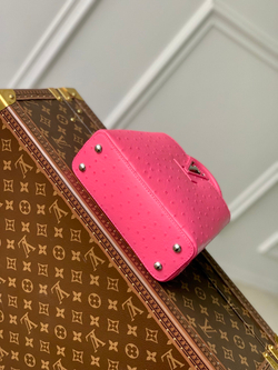 Louis Vuitton Capucines Mini
