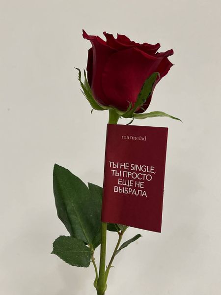 Ты не single