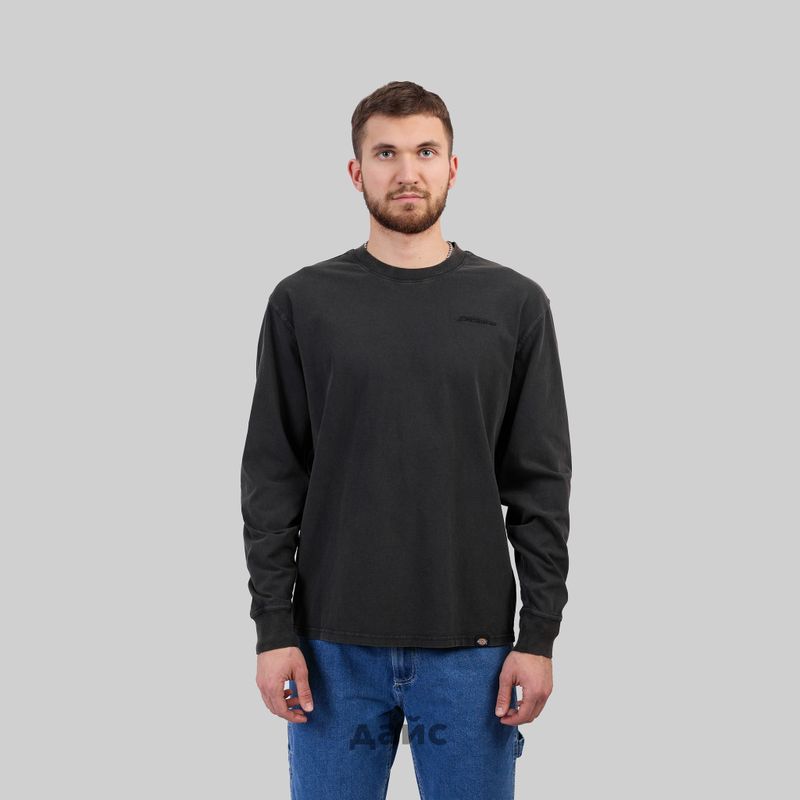 Лонгслив мужской Dickies Plentywood артикул:DK0A866CH861 - купить в магазине Дайс