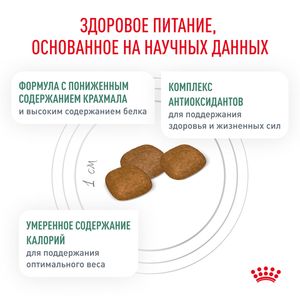 Уценка! Срок до 05.2024/ Корм для собак, Royal Canin Diabetic DS37, при сахарном диабете