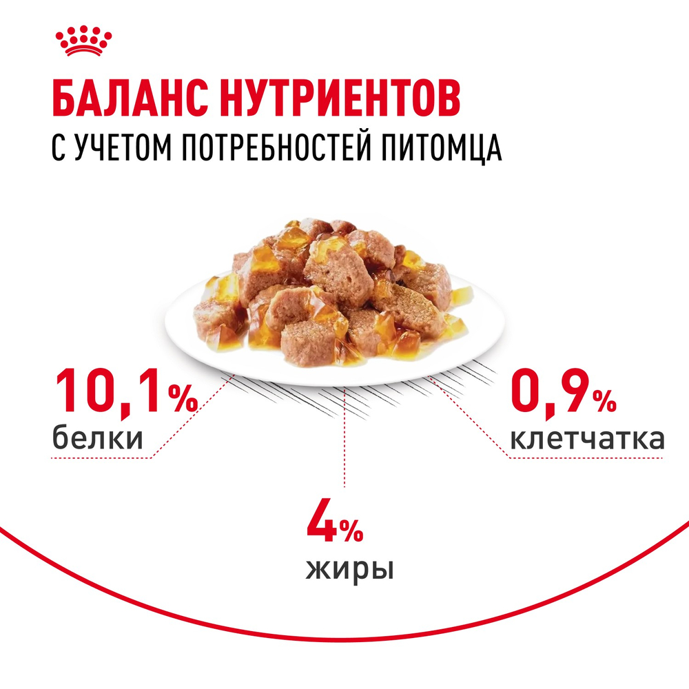 Royal Canin Hair&Skin Care Хэйр Энд Скин Корм влажный для взрослых кошек поддержание здоровья кожи и шерсти желе 85г