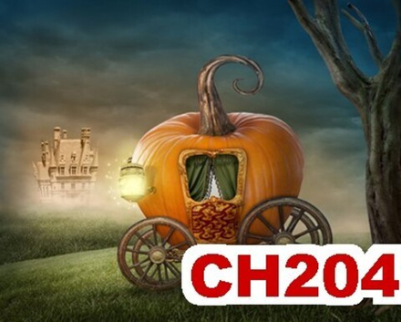 Фото обои - Дети CH204