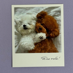 Открытка для букета или композиции «Для тебя»