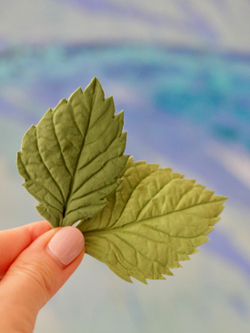 Молды силиконовые для лепки листьев Гортензии. Набор 4 вида. / универсальная форма для листьев гортензии, малины, ежевики, смородины и мяты