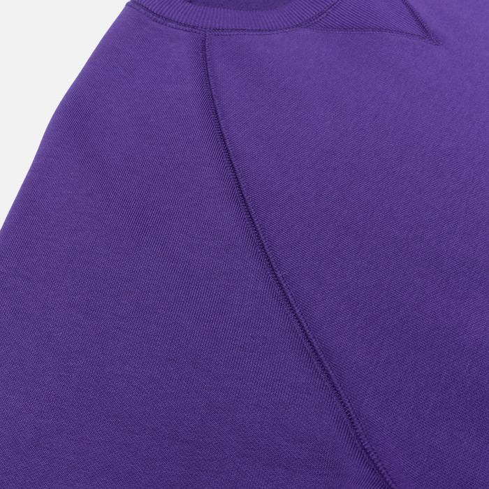 Толстовка мужская Carhartt WIP Chase Sweatshirt артикул:I033660_tyrian - купить в магазине Дайс