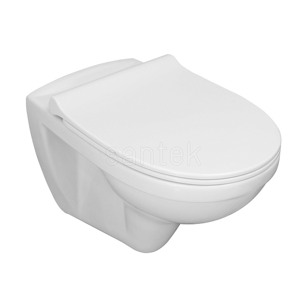 Пэк Santek "Бореаль" rimless подвесной, безободковый унитаз с тонким сиденьем, инсталляция, панель белого цвета (1.WH50.1.832)