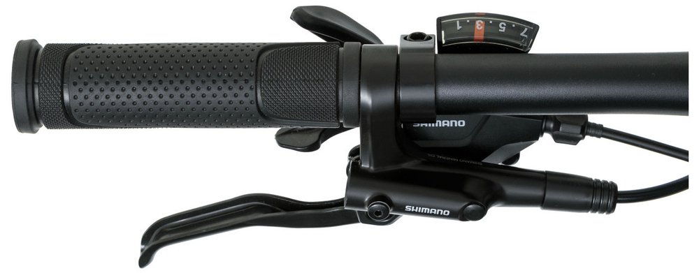 Горный велосипед Welt Raven 1.0 HD 29 (2024)