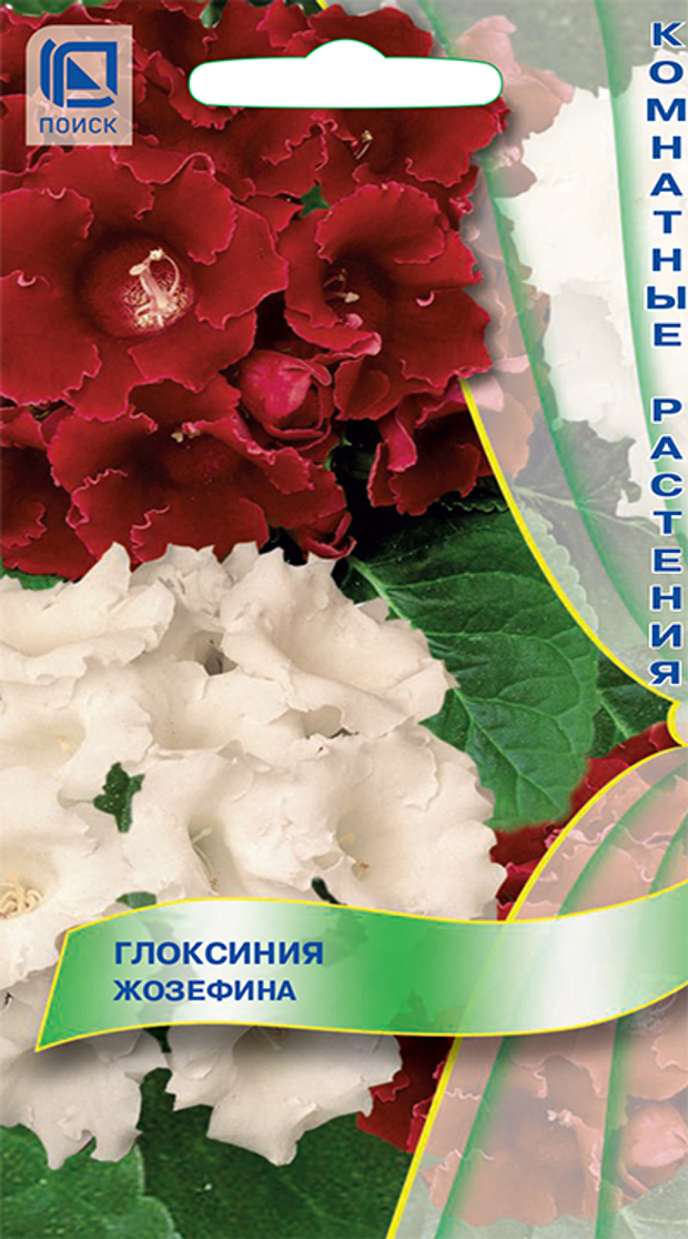 Глоксиния Жозефина