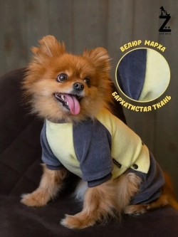 Комбинезон костюм для собак и кошек